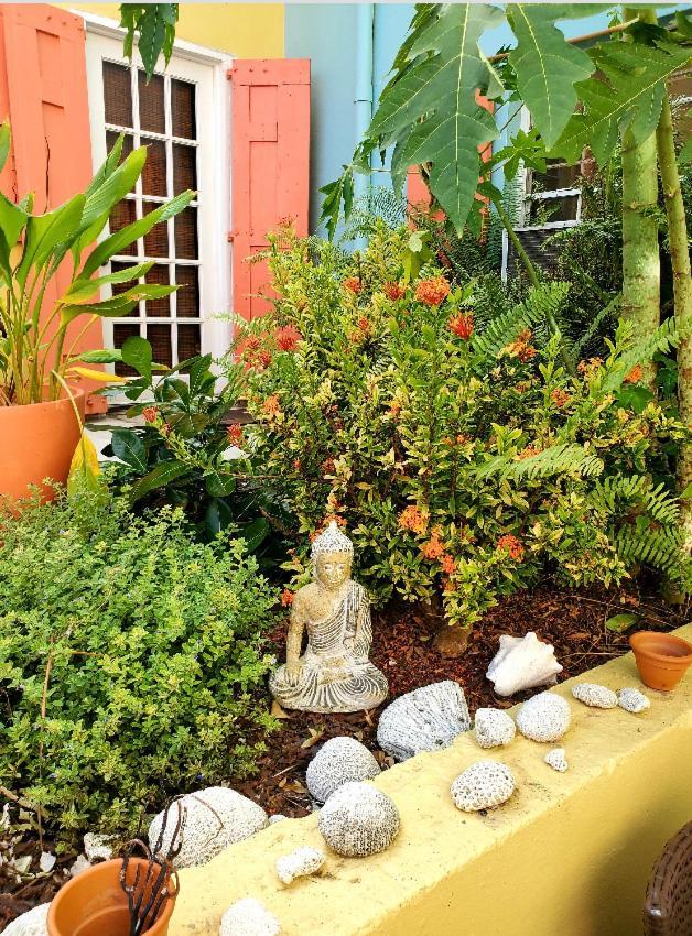 Crown Lotus Apartment Christiansted Exterior photo